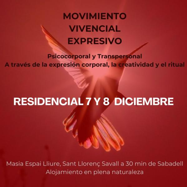 Residencial mve psicocorporal transpersonal - movimiento vivencial expresivo