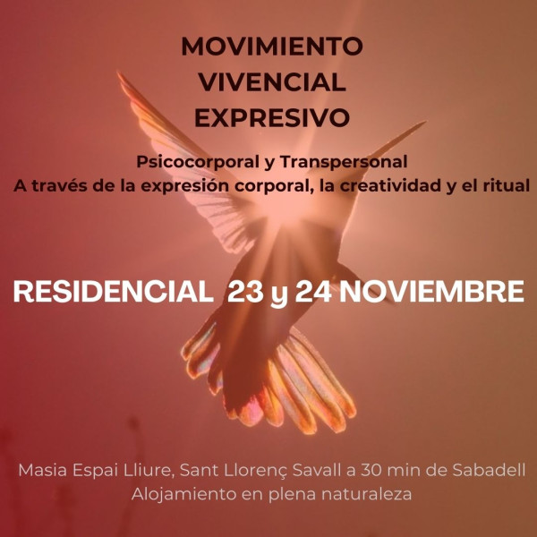 Residencial mve psicocorporal transpersonal - movimiento vivencial expresivo