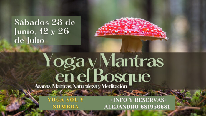 Yoga & Mantras en la Naturaleza “Bajo la música del bosque”
