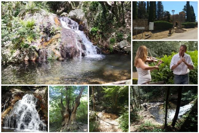 Excursión en la naturaleza & contemplación y música celta slow air en vivo