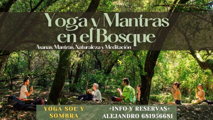 Yoga, Mantras & Ríos en el Bosque de la floresta "Bajo la música del bosque"