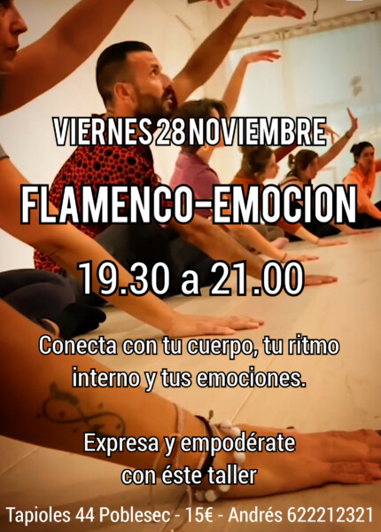 Flamenco emocion Taller