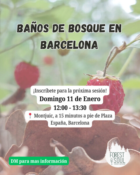 Baño de Bosque en Barcelona - Conecta con la Naturaleza y Contigo