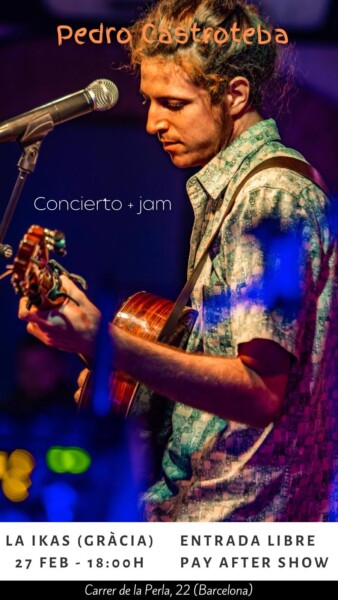 Concierto Pedro Castroteba