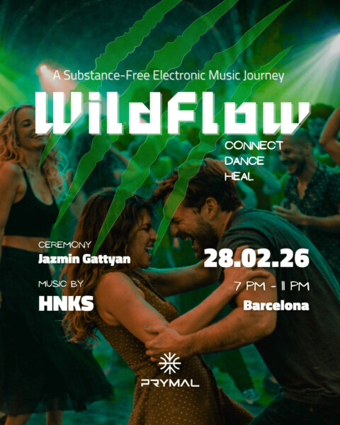 Wildflow vi - connect • dance • heal