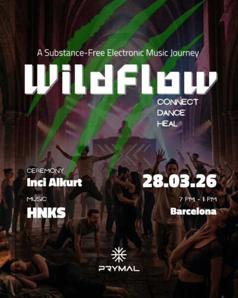 Wildflow vii - connect • dance • heal