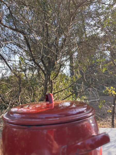 Paella i Cercle clowncient amb M. Dolors Obiols