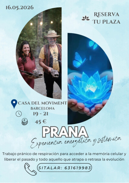 PRANA · Experiencia energética y sistémica