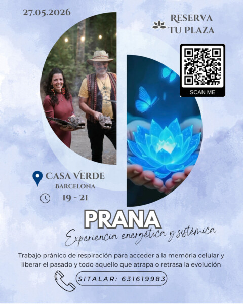 PRANA · Experiencia energética y sistémica