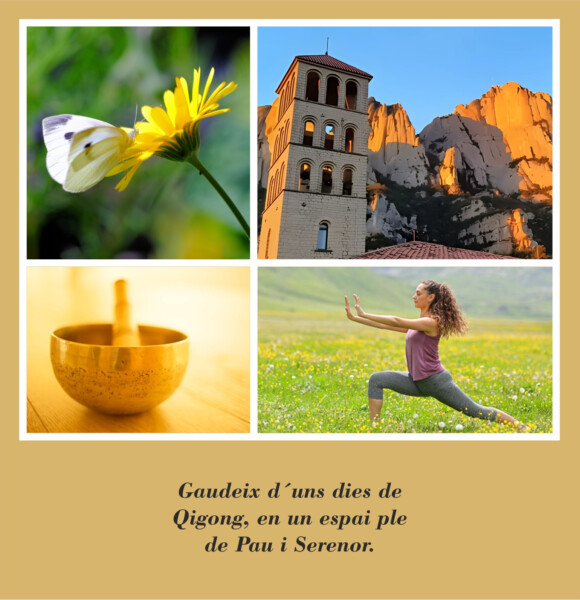 Retir de Qigong - Monestir Sant Benet de Montserrat