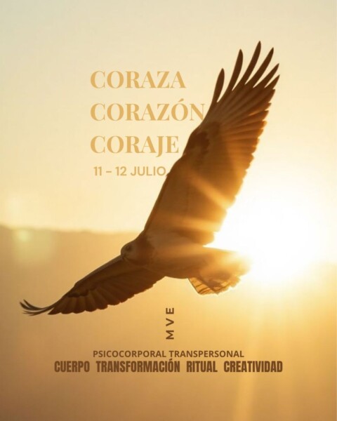 Coraza · corazón · coraje intensivo de movimiento vivencial expresivo (mve)