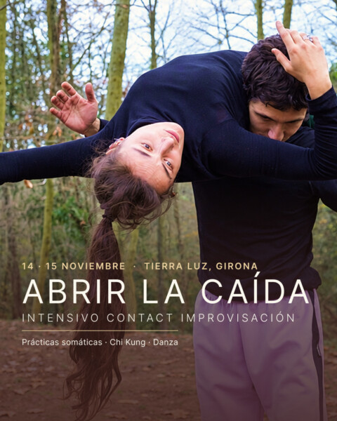 FINDE: Abrir la Caída, Contact Impro con Danza Somática y Chi Kung