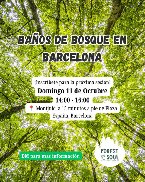 Baño de Bosque en Barcelona - Conecta con la Naturaleza y Contigo